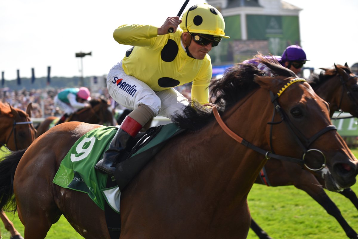 yorkracecourse's tweet photo. WHAT IS your favourite Juddmonte International memory? 🏇🎉
One memory randomly chosen before 10am Thurs will win two #ClassicEbor badges! https://t.co/qaW0jcL5jc