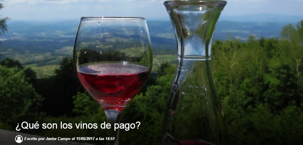 ¿Qué son los #vinos de pago? 🍾🍷
bit.ly/2ps9vO3