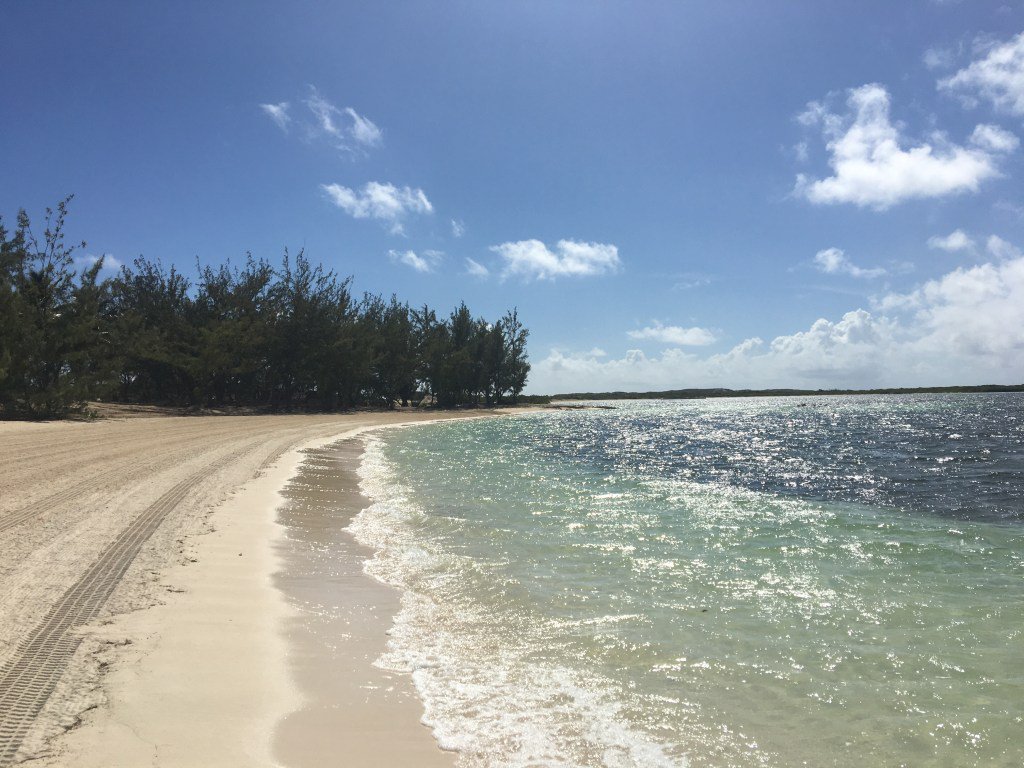 DivorceWithMe's tweet photo. Splendor in the Beach https://t.co/3rkrGPYqlw https://t.co/Vi1YHeFsHC