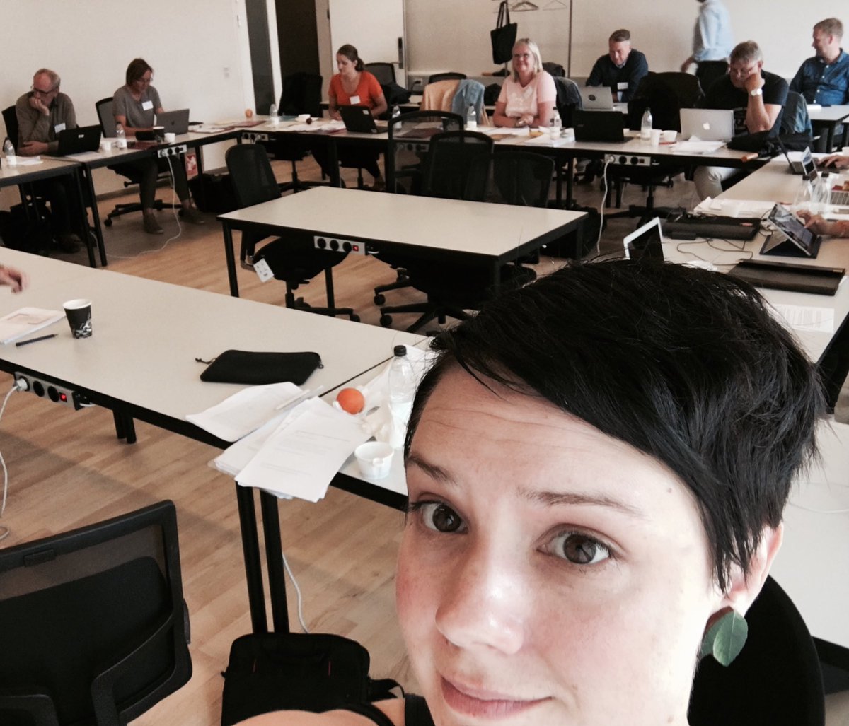 liina_kaisa's tweet photo. Such a great workshop on "Current challenges is health sector governance in Europe" Lively discussions in Eng, Swe and No. #nopsa17 https://t.co/0bf7R55KCi