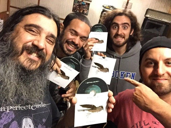 Yampmusica tweet media