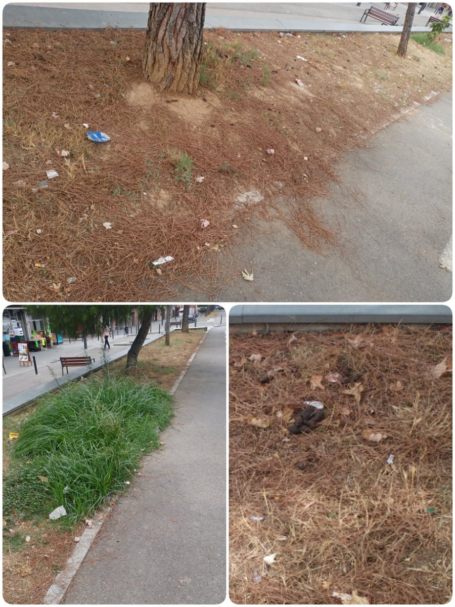 PrimerizaApuros's tweet photo. INCIVISMO + FALTA LIMPIEZA
@ajmollet creo que deberían tomar medidas...Lo primero, limpiar. Lo segundo, multar. 
Avinguda Gaudí de #Mollet https://t.co/9w1AEdWVrj