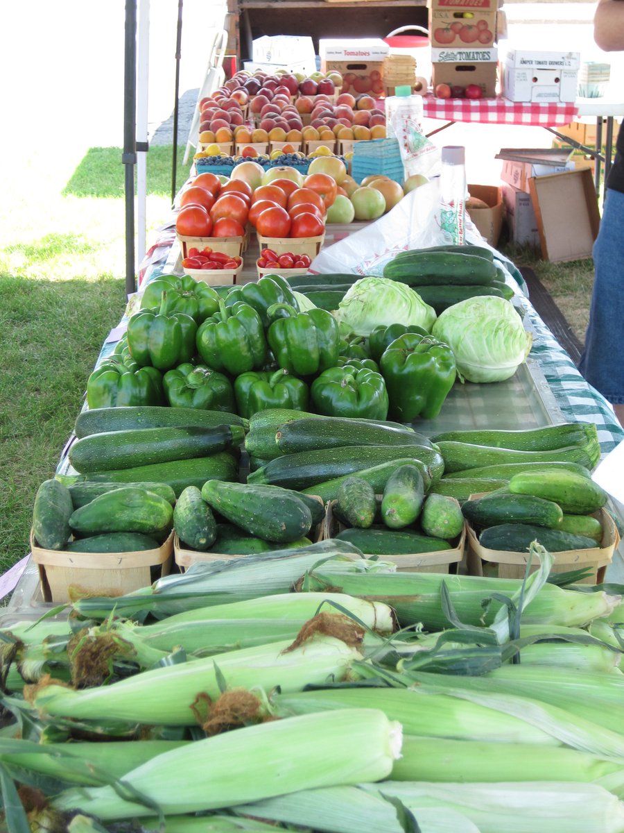 BHealthyBerrien's tweet image. The Benton Harbor Farmers Market  is open today, August 9, 10am - 4pm in Dwight P. Mitchell City Center Park, with the Mobile Farmers Market