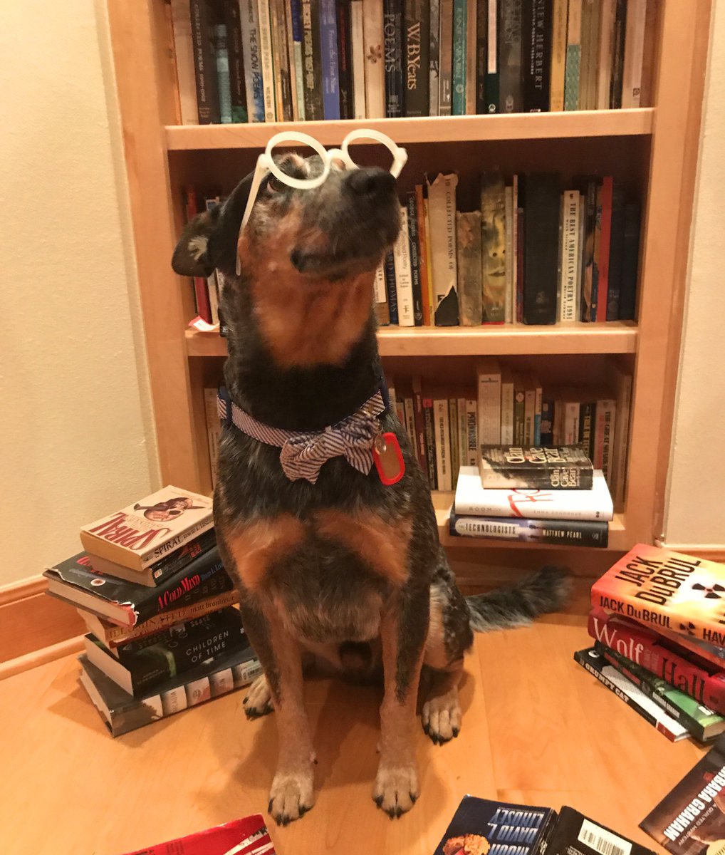 synkapp's tweet photo. So many #books, so little time. #NationalBookLoversDay #BookLoversDay #whatsonyourcalendar https://t.co/mXVzoTcBJk