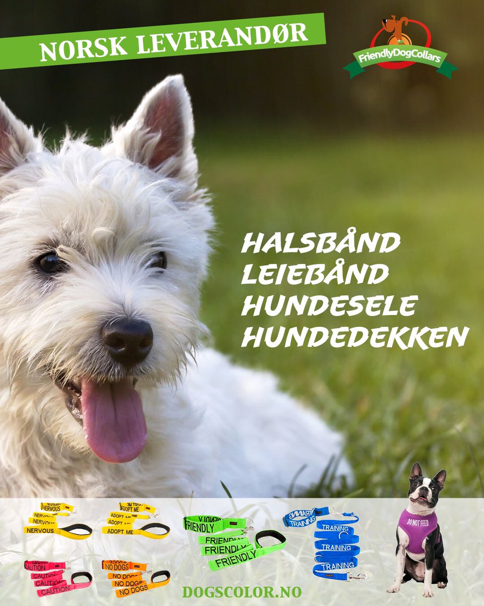 Dogscolor's tweet image. Enjoy your next walk with your dog! #dogwalk #safedog #norge @Hunden_no #labrador #terrier #hund #påtur #training #nodogs #nkk #agria #dog