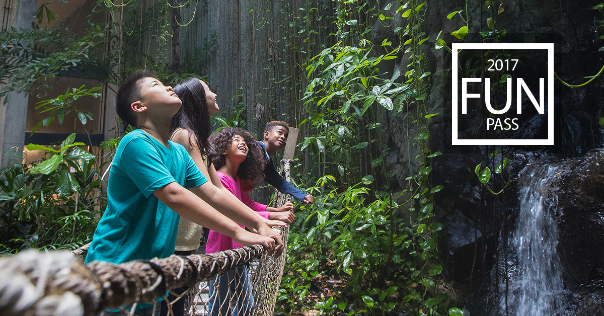ExploreON's tweet photo. Looking for something to do? Rediscover #BioBlitz150 and visit @RBGCanada, one of 18 places you can use the #ONfunpass. 2 kids get in FREE! https://t.co/haXrTJ2rJr