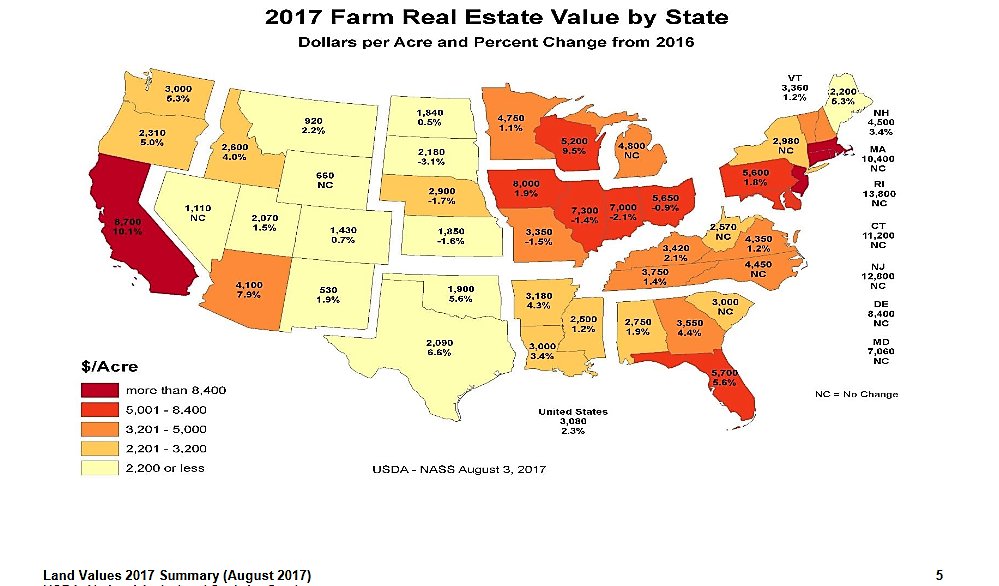 David Dickey tweet media