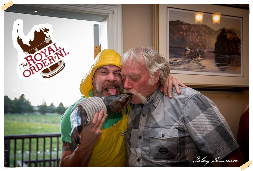 SkipperDickie's tweet photo. Poppy doesn't mind it ... not t'all. Shot of @ScreechRum, a nob of @PurityFactories and a Good Ol' Cod! @NLtweets #ScreechIn https://t.co/eBhW47TNfV