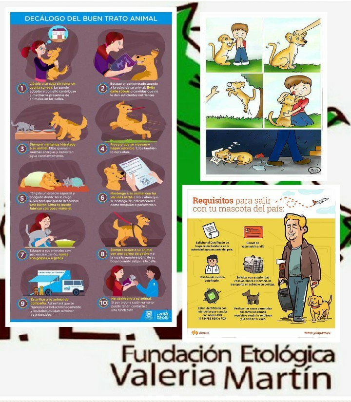 FEVMproteccion's tweet photo. https://t.co/WvgH8ZxXpT