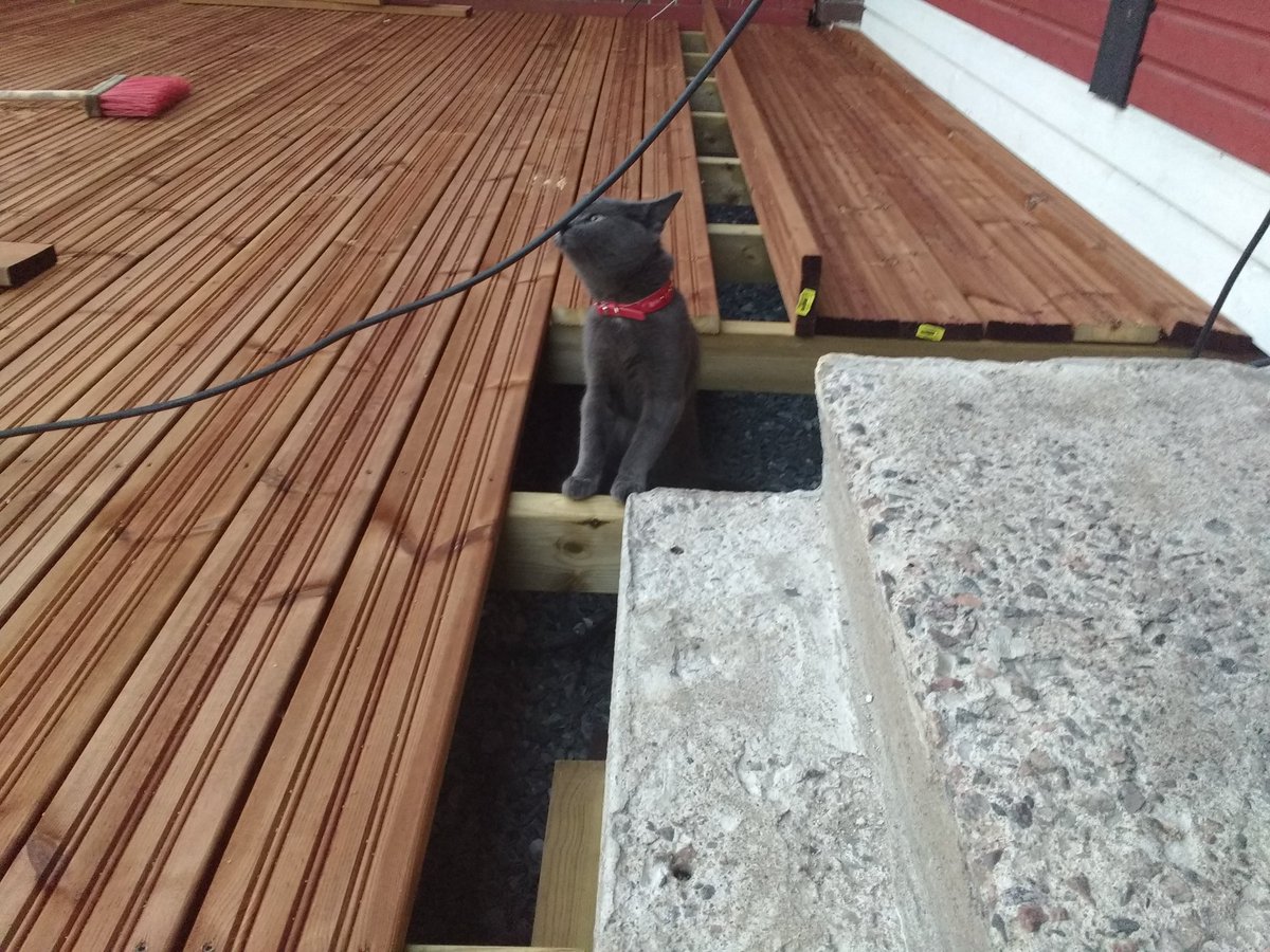 Paavo Leinonen tweet media