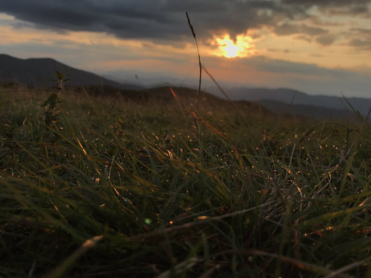 rakramer19's tweet photo. I'm leaving Asheville for the first time in 2 days and I don't think I'll miss anything more than the sunrise hikes https://t.co/BjdM69atVP