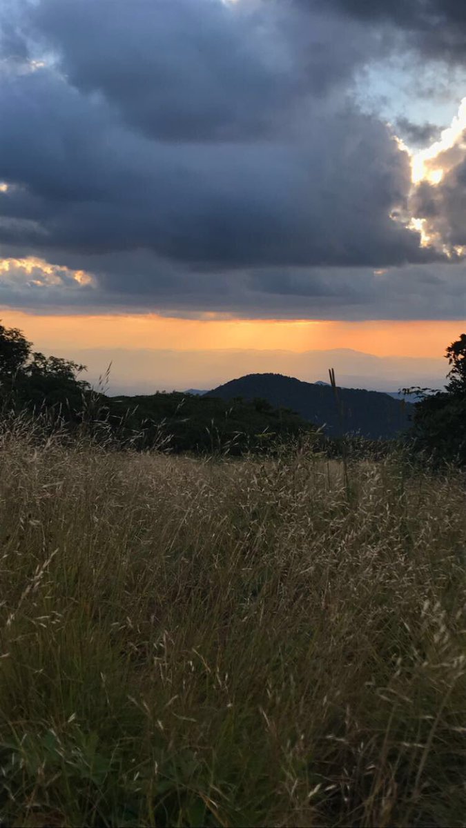 rakramer19's tweet photo. I'm leaving Asheville for the first time in 2 days and I don't think I'll miss anything more than the sunrise hikes https://t.co/BjdM69atVP
