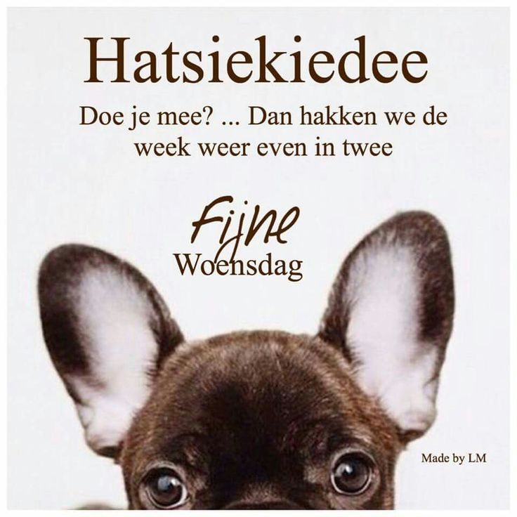 Fijne woensdag iedereen!
