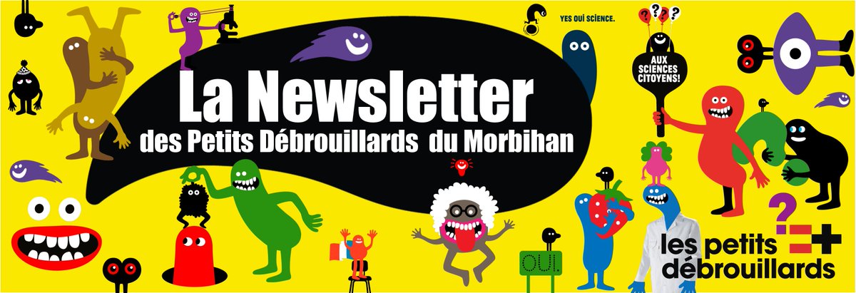 Petits Debs Lorient tweet media