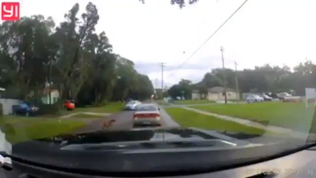 Driver abandons dog in Florida city, dog chases after owner but can't catch up bit.ly/2uGOVay https://t.co/1Nmlob9YsQ