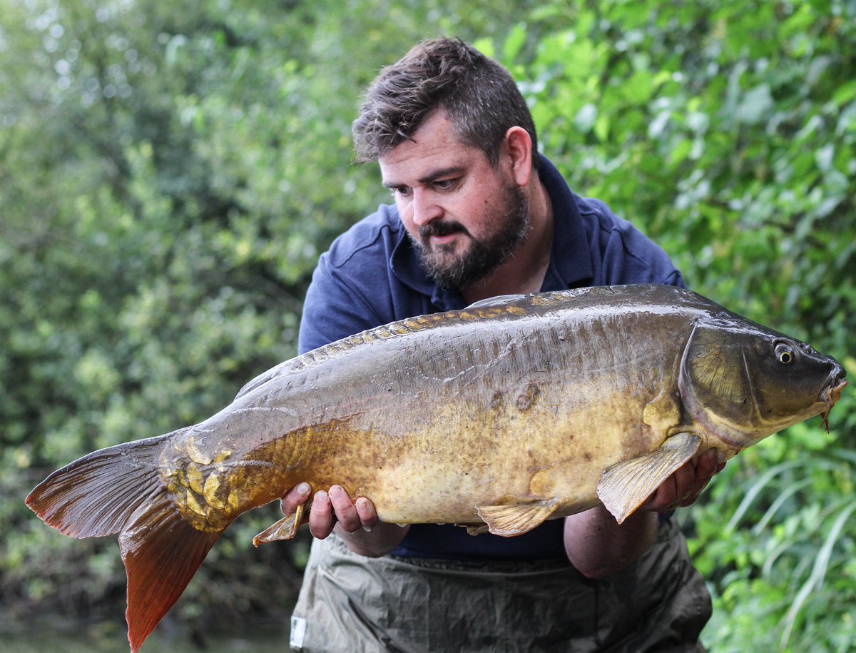 _andy_gilbert's tweet image. 