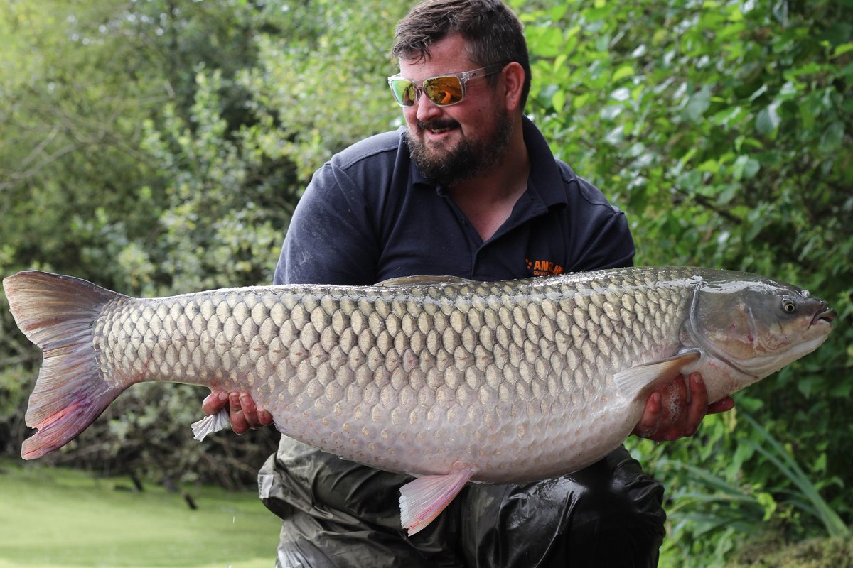 _andy_gilbert's tweet image. 