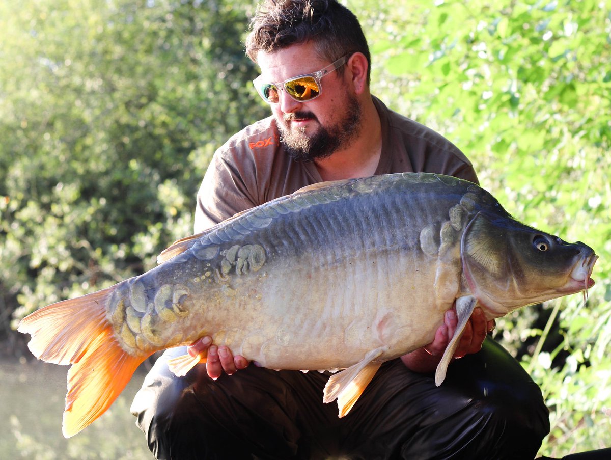 _andy_gilbert's tweet image. 