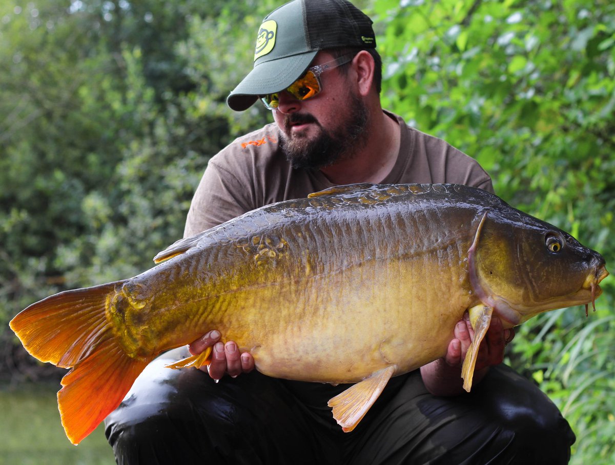 _andy_gilbert's tweet image. 