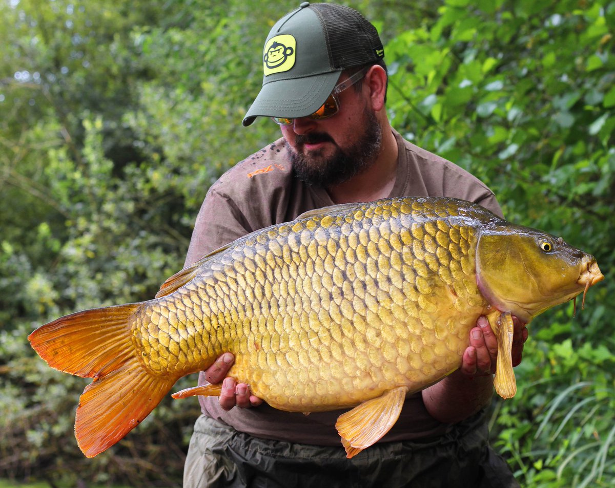 _andy_gilbert's tweet image. 