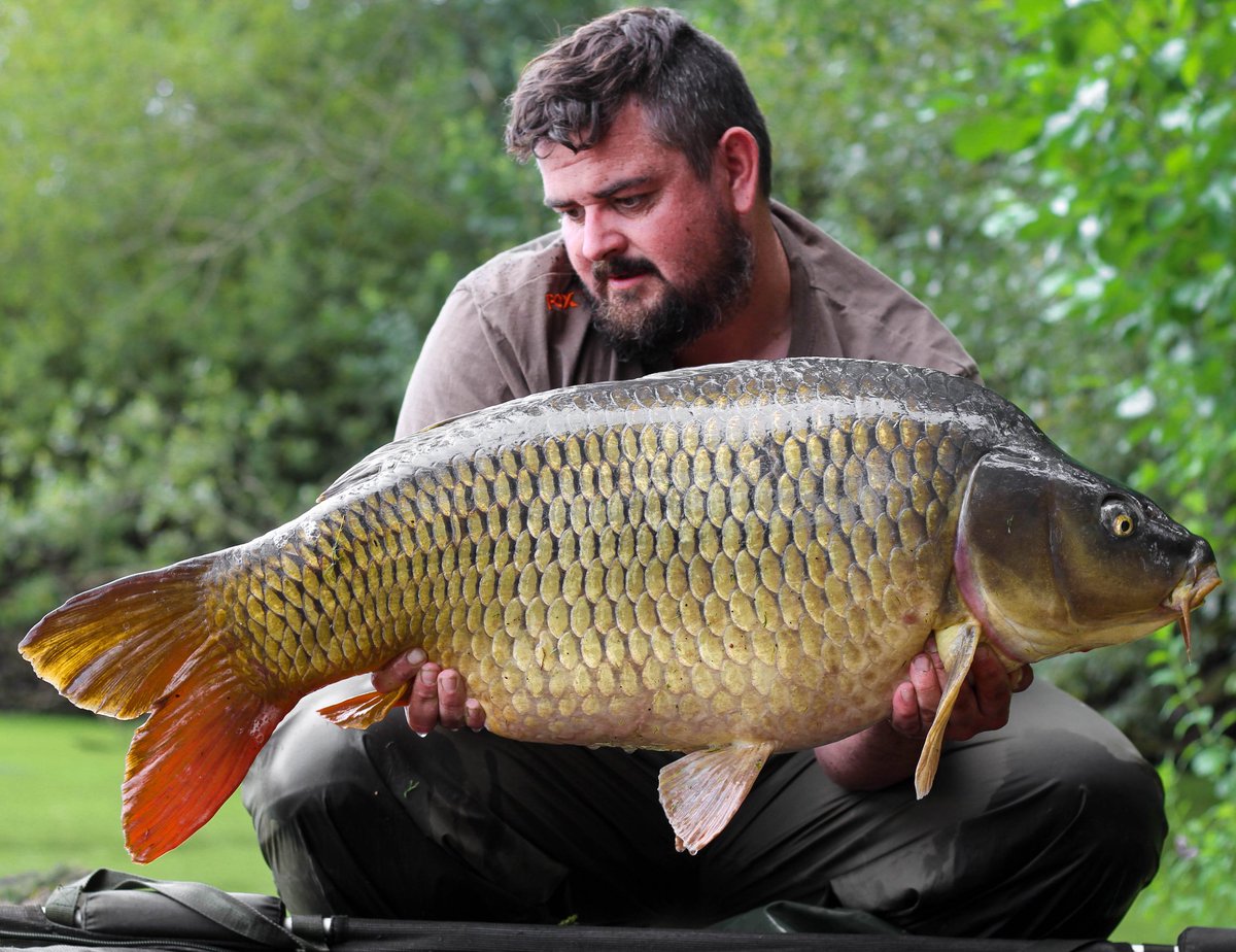 _andy_gilbert's tweet image. 