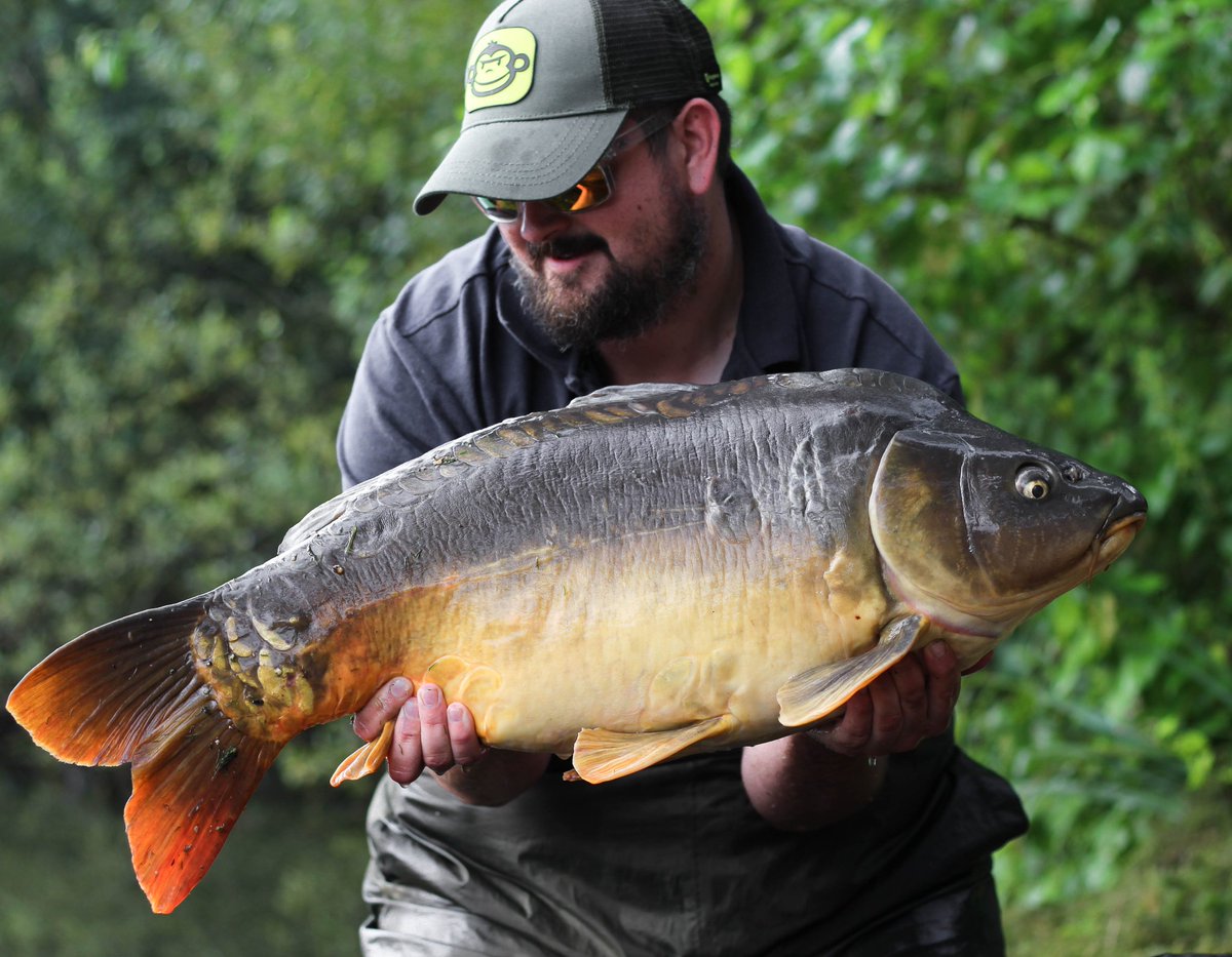 _andy_gilbert's tweet image. 