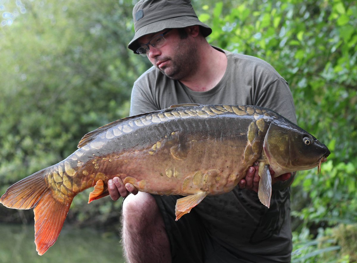 _andy_gilbert's tweet image. 