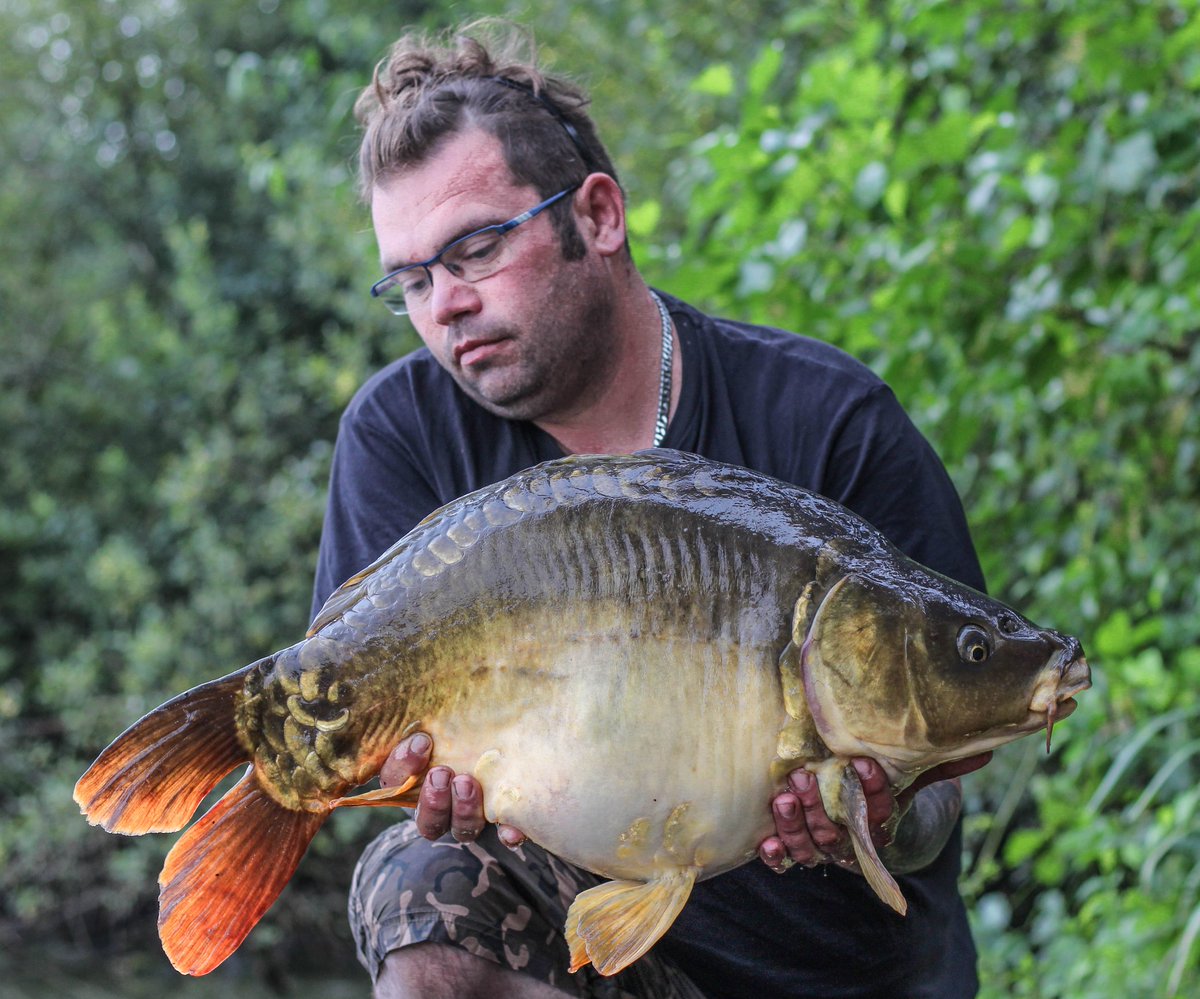 _andy_gilbert's tweet image. 