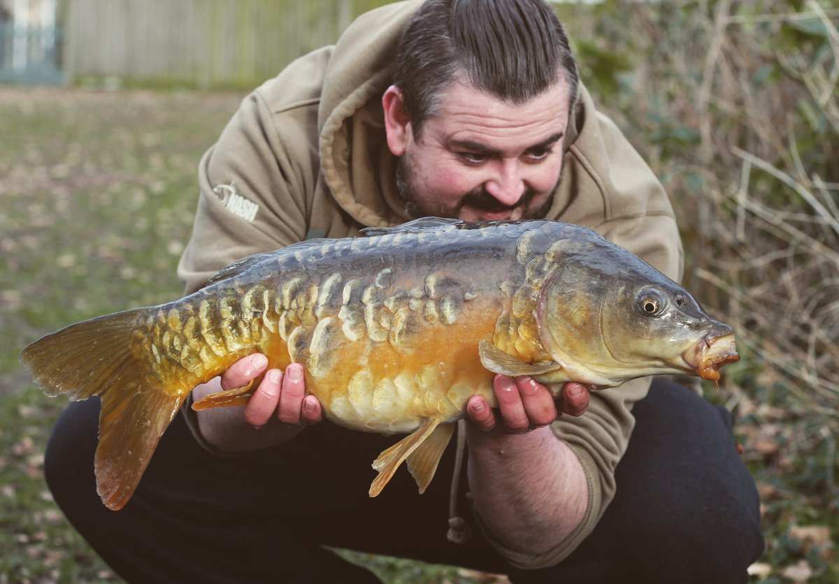 _andy_gilbert's tweet image. Birthday mirror February, cute as a button