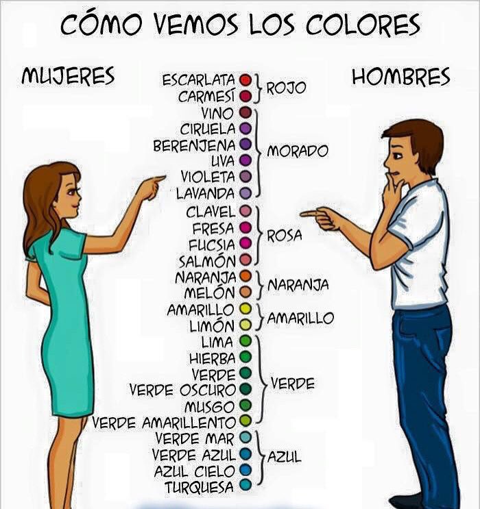 rafots's tweet photo. Las mujeres siempre complicándose la vida https://t.co/bfZD9nPwrE