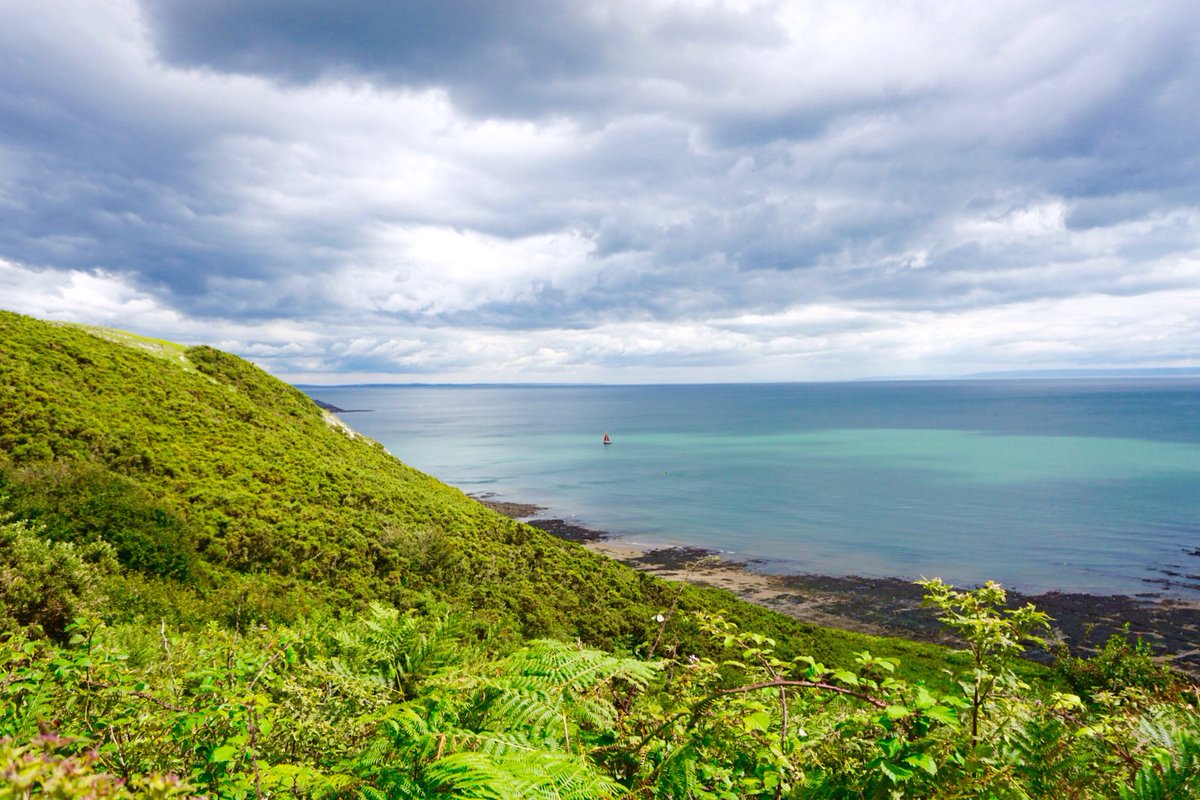 John Maclaughland tweet media