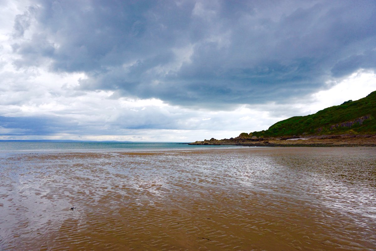 John Maclaughland tweet media