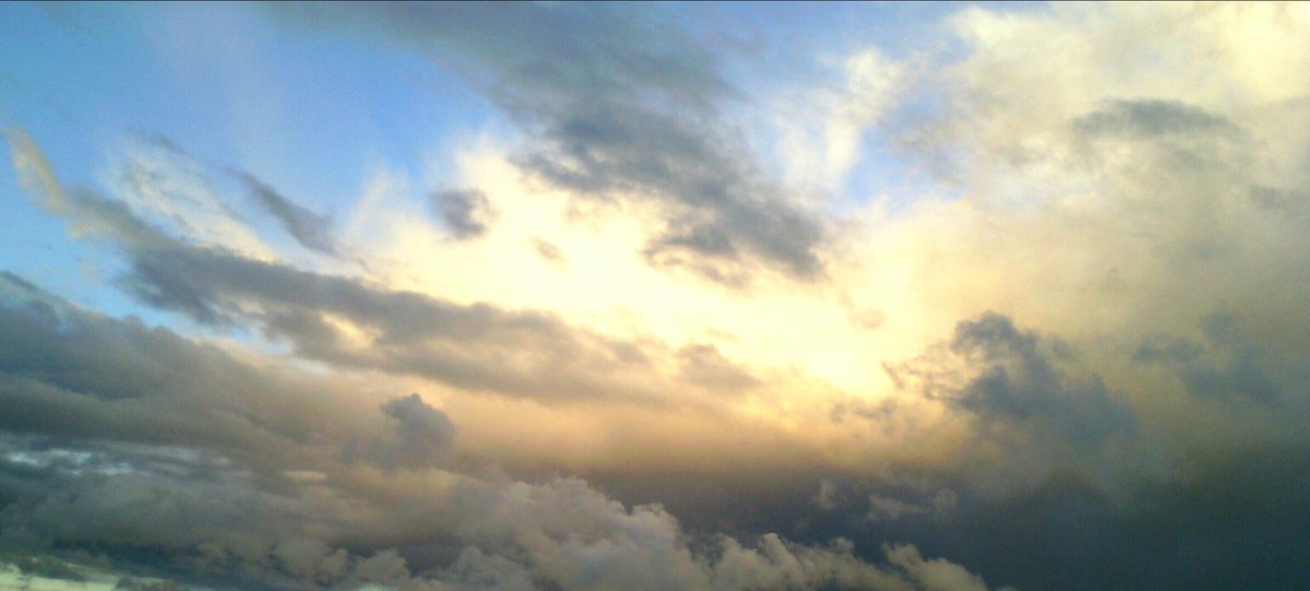 Voilà les petites photo que j'ai pris 😍