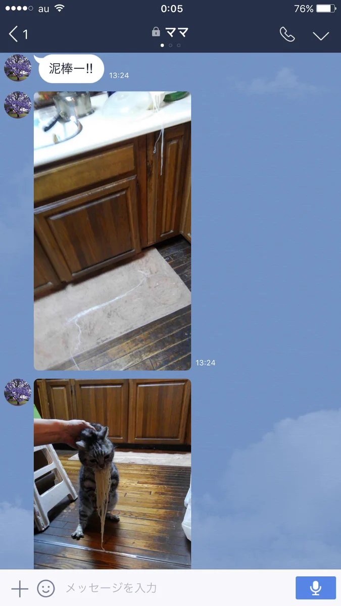 食べ方可愛すぎかよww猫のフードファイター現るww
