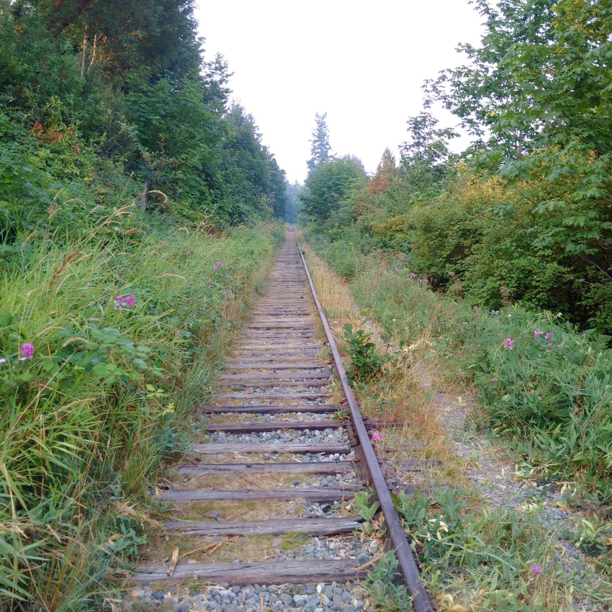 We see a lot of cigarette butts as we walk along rail line in Shawnigan. 
Don't be responsible for burning your neighbor 's home down.