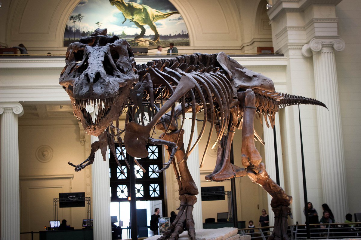 zift's tweet photo. Why #ChannelTechnology Must Integrate or Face Extinction - https://t.co/GYCJp9Umbo @LazGonzalez #ChanTech #ChannelasaService https://t.co/5aBS3Sdhq9