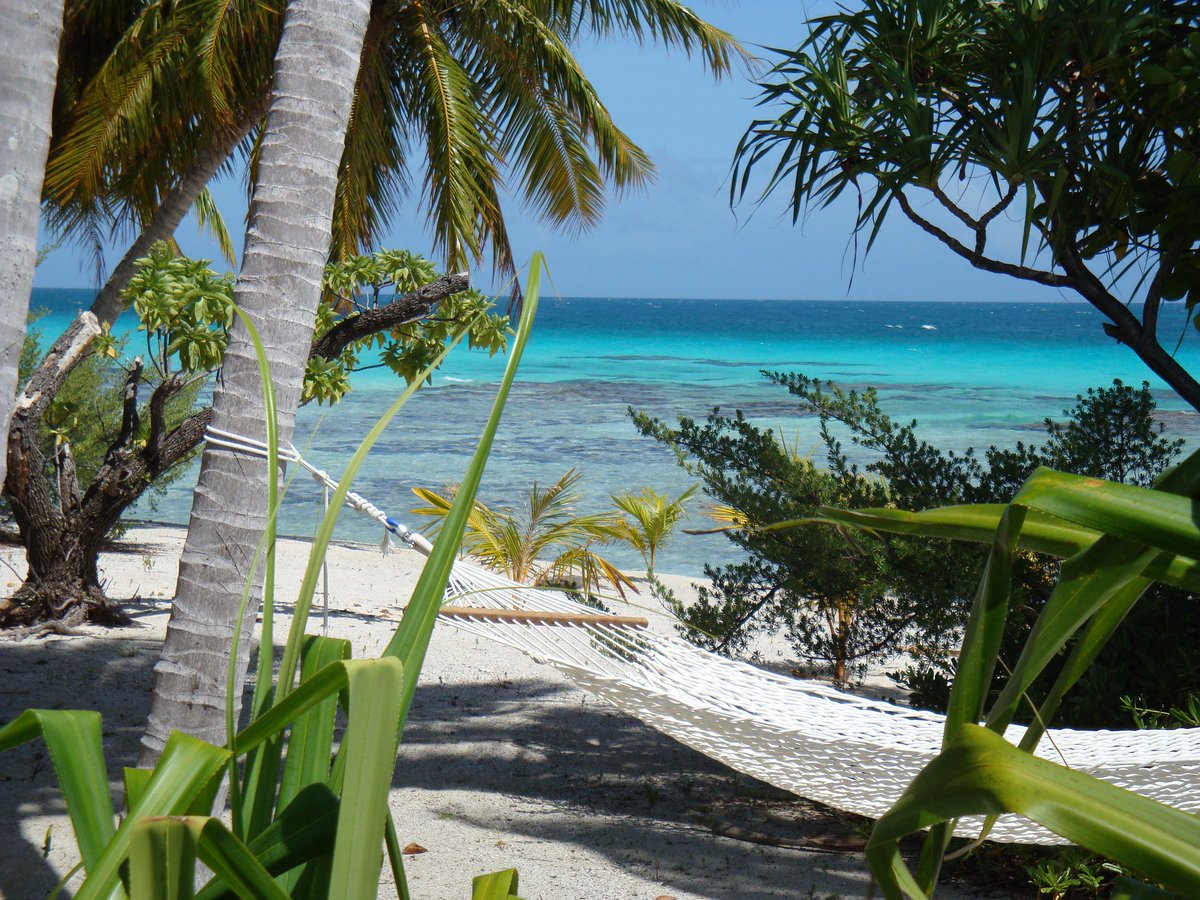TahitiLegends's tweet photo. Give us a hammock on a secluded beach on a private island in French Polynesia and we are definitely wanderlusting. #WanderlustWednesday https://t.co/NzXnu3jSGr