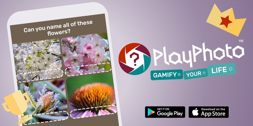 PlayPhotogame's tweet photo. #FlowerPower! Can you name all of these flowers? https://t.co/tHZXIiAUvQ https://t.co/f7EbkwWEOJ