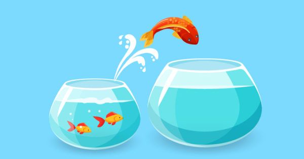 balanced_minds's tweet photo. Underachiever? Overachiever? Find the Right Balance https://t.co/2l02HN56N2 #workplacementalhealth #workplacewellness https://t.co/9wSDHfyfqN