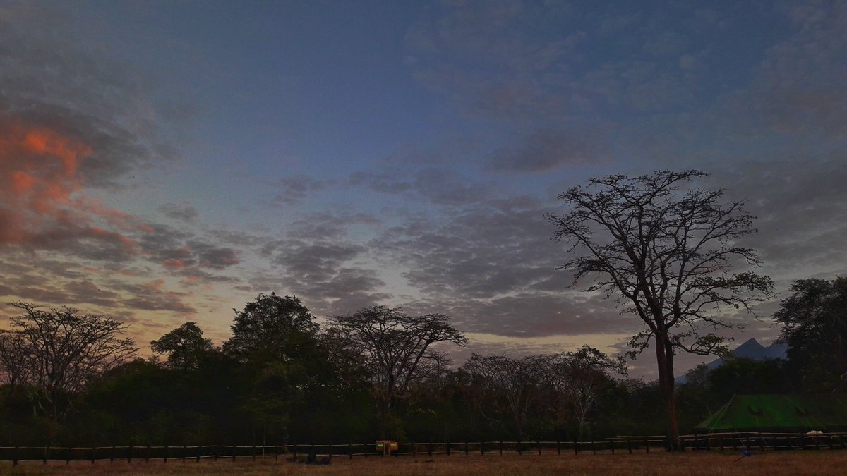 AgusSug63615554's tweet photo. #balurannationalpark luar biasa #park #WonderfulIndonesia #photography #PhotoOfTheDay #landscape #photographylandscape #africavanjava https://t.co/WBZYLa7rpv
