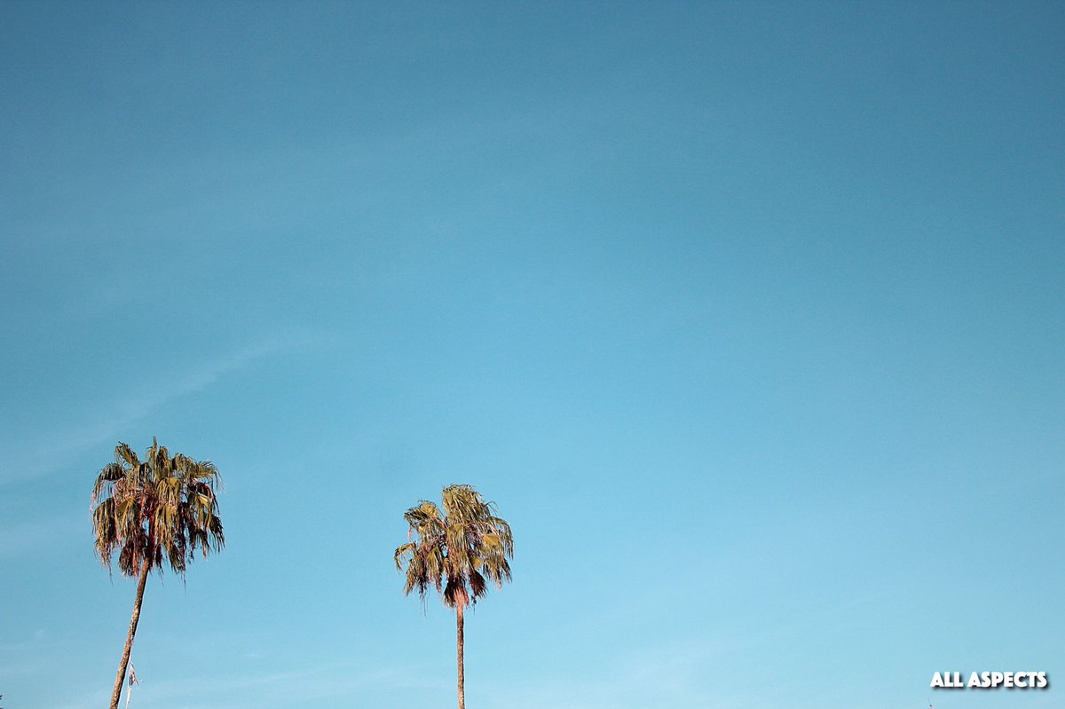 AllAspectsCG's tweet image. All Aspects| Photography📸