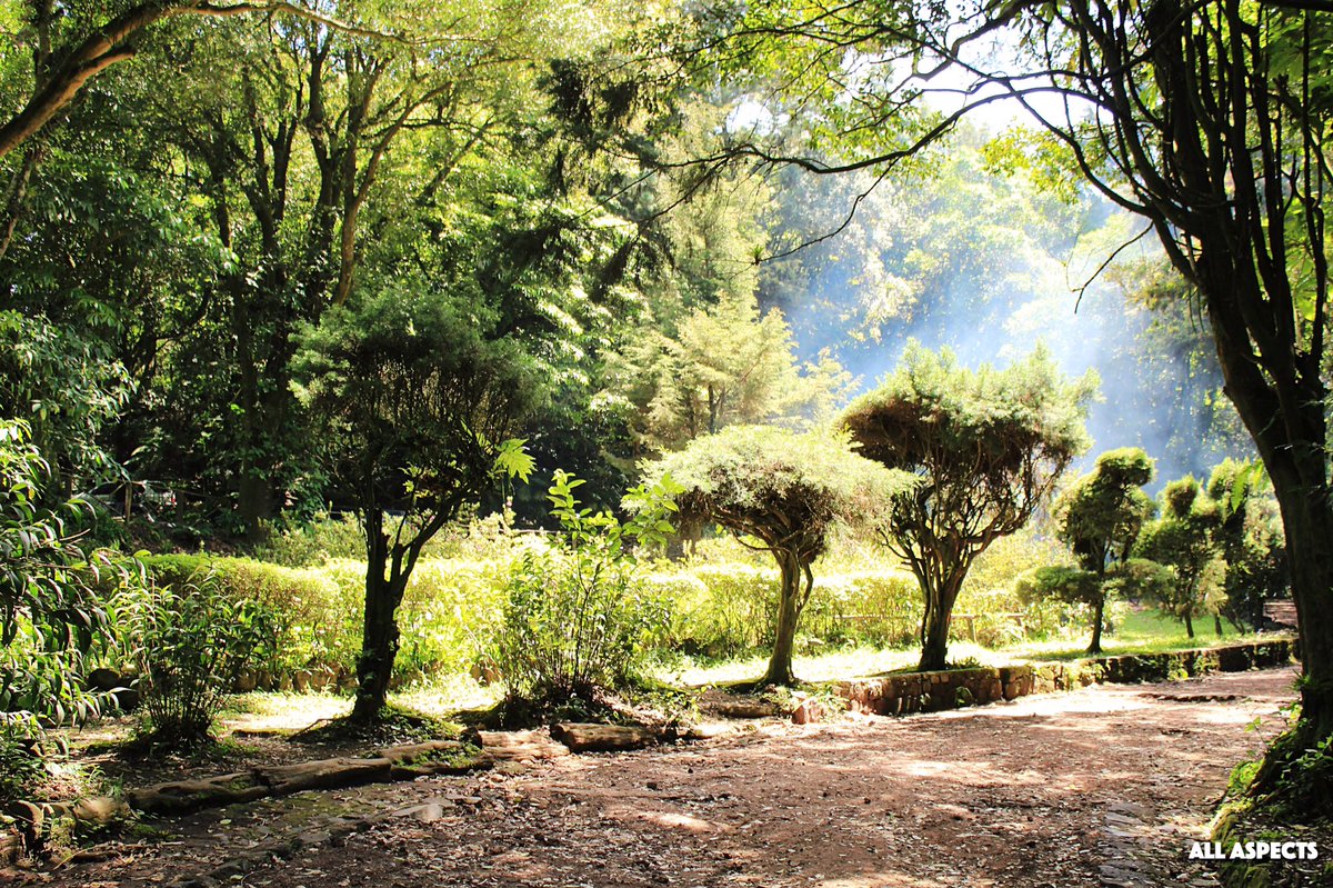 AllAspectsCG's tweet image. All Aspects| Photography📸