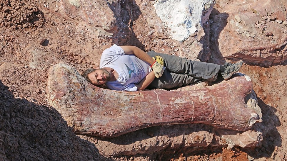 diapophysis's tweet photo. Looking forward to joining Diego Pol on NPRs @OnPointRadio tomorrow morning (11 am) to talk about the giant sauropod Patagotitan ! https://t.co/M1wPCgXjYk
