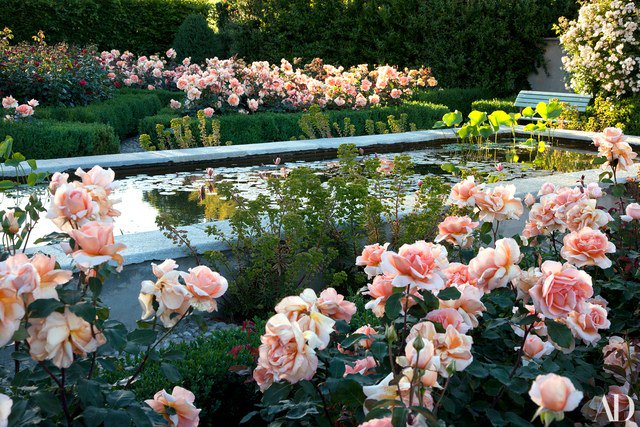 ArchDigest's tweet image. Walk through landscape designer Paolo Pejrone's happy gardens: archdg.co/YbAW9dB