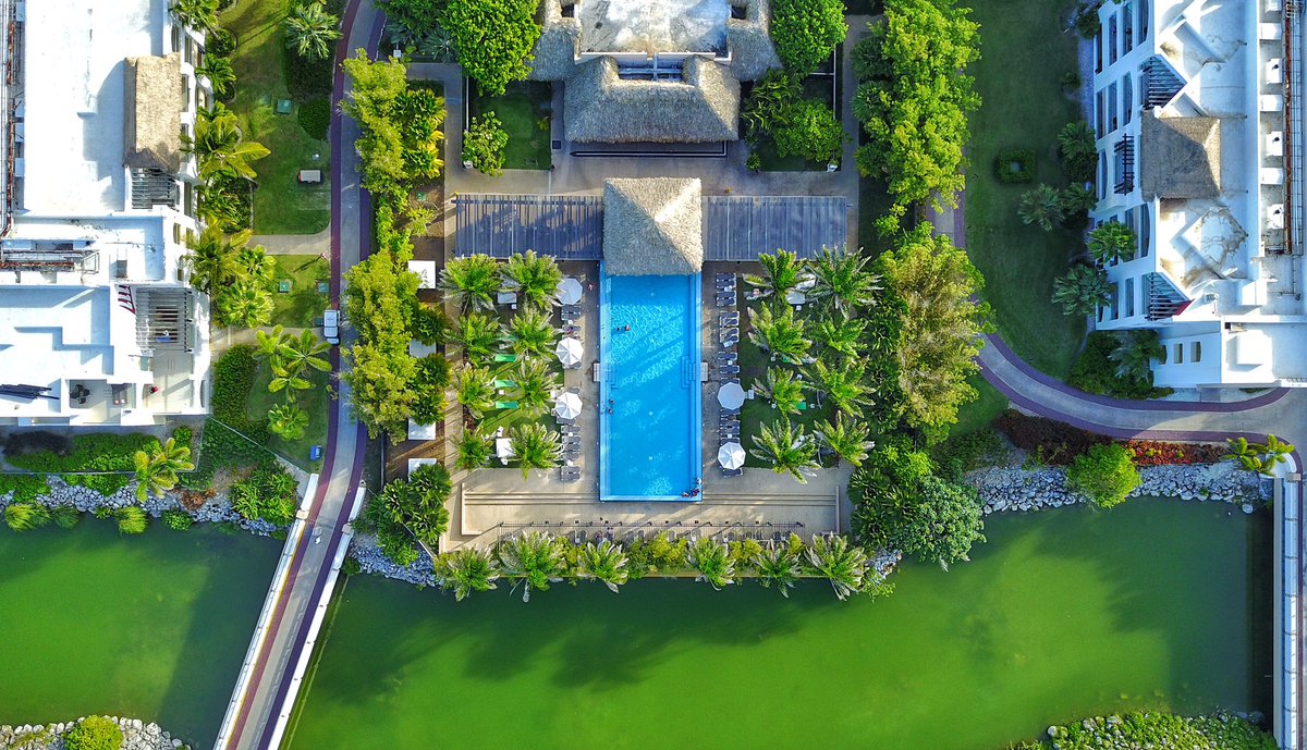 samrwalker's tweet photo. The world would be a happier and healthier place if all swimming pools were tops optional and adults only. #EdenPool #HardRock https://t.co/Fm4drpDALr