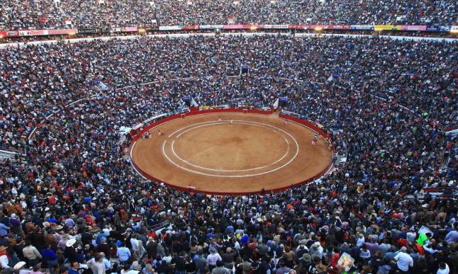 TorosUnicable's tweet photo. ¿Qué sientes al entrar a la Plaza México? https://t.co/xKMoyYkLSt