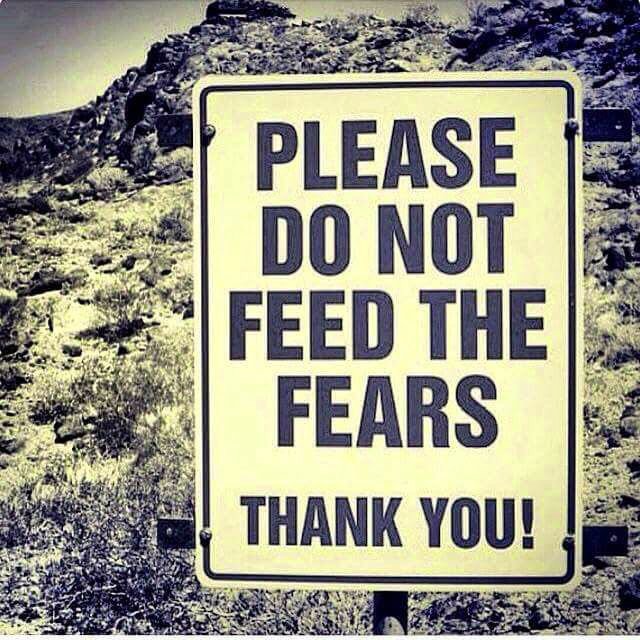 LifeRepurposed_'s tweet image. #nofear #dontfeedfears