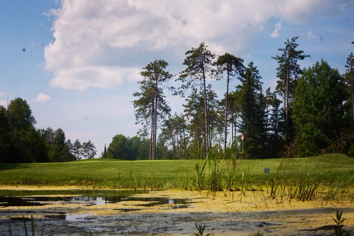 Summer sun with a hint of crisp fall air. This weather was made for golf! 18 hole Golf&amp;Cart $35 after 1PM daily! #golfweather #gogolf