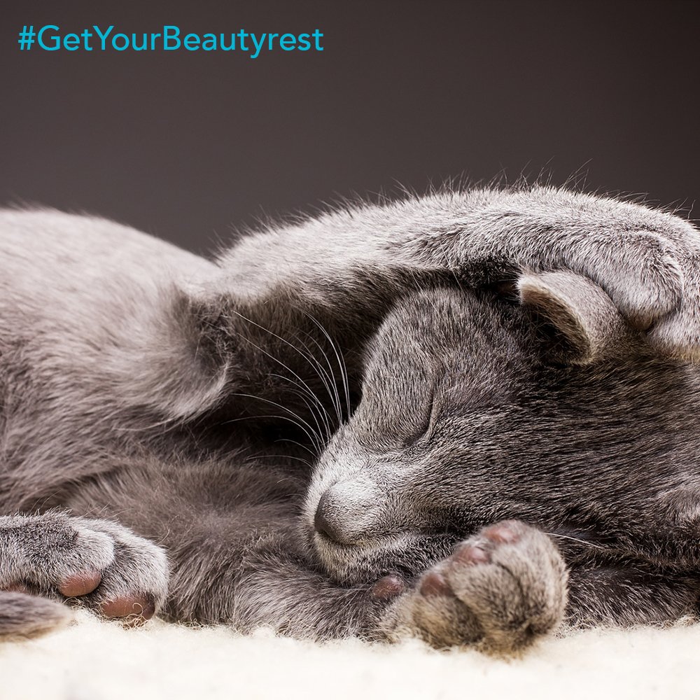 TheBedroomMe's tweet photo. Sleep is the best meditation.

#getyourbeautyrest #intercoil #simmons #thebedroom https://t.co/Uv1R55U3GB
