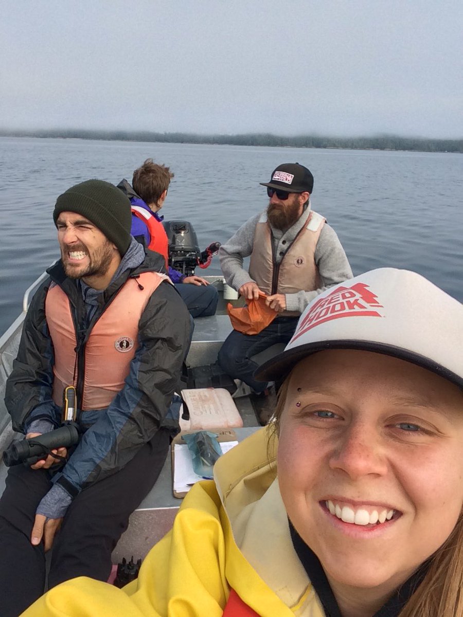 ashkerik's tweet image. Team eagle 🦅 distracted by our favourite humpback 🐋 #smcw2017 #bamfieldmsc @christy_jam @BamfieldMSC @JasonTFisherLab